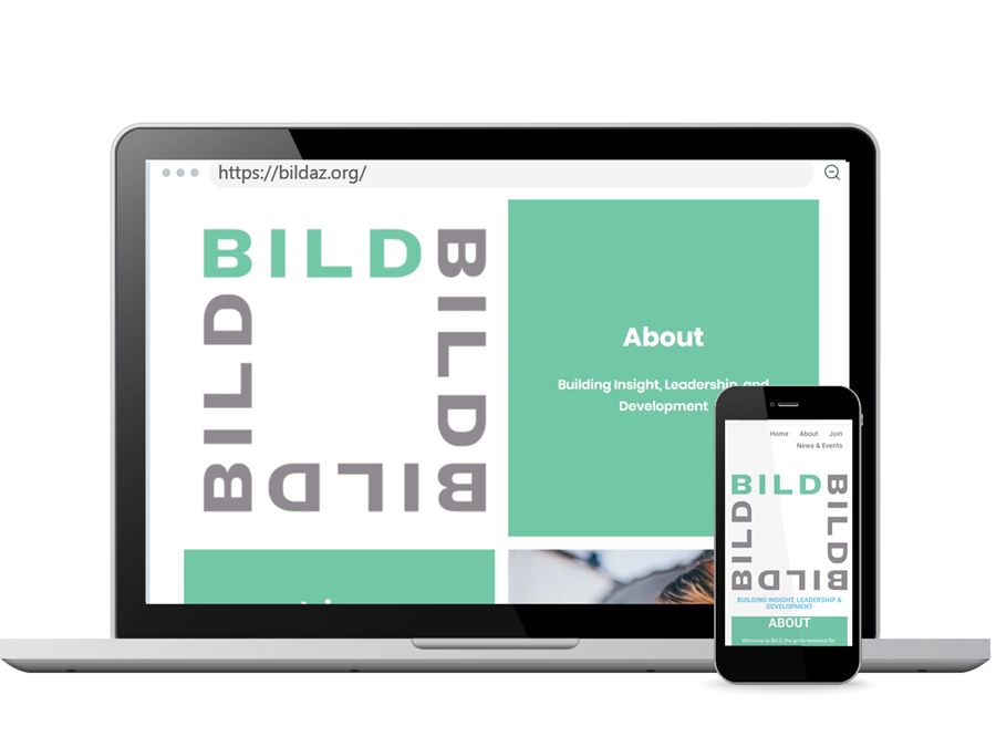 website design for BILDAZ.org